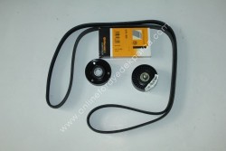 İthal - Escort 1995 - 2000 <br> Vantilatör Kayışı Ve Bilyaları <br> 6 PK 1920 <br> 95WF 19A216 AC <br> 95WF 6A228 AA