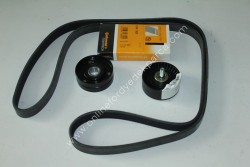 Escort 1995 - 2000  Vantilatör Kayışı Ve Bilyaları  6 PK 1920  95WF 19A216 AC  95WF 6A228 AA - 2