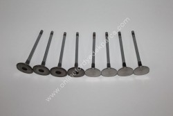 Güneş - Subap Takımı 8 Adet <br> 2S6Q 6507 AB